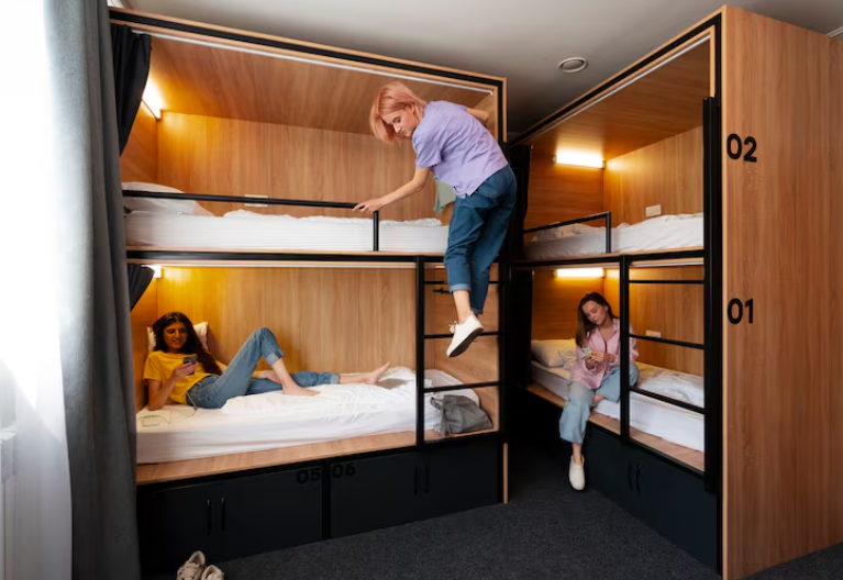 Exploring the Multifaceted World of Bunk Beds